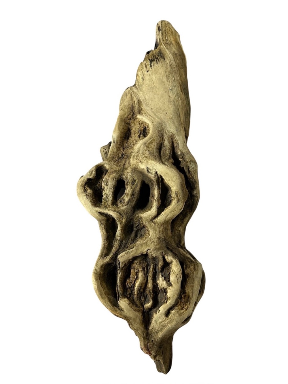 Natural Driftwood Sculpture - Organic Wood Accent